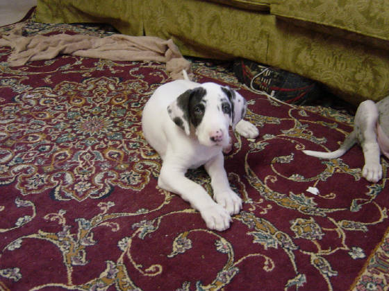 Jan1pics026.jpg