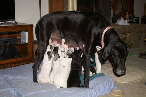 PICT0142.JPG