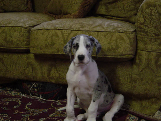 janpics021.jpg